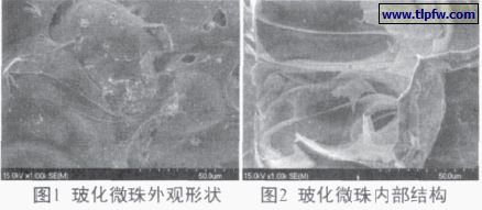 ?；⒅橥庥^形狀及內(nèi)部結(jié)構(gòu)